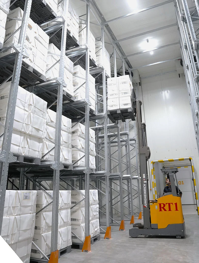 Cold & Dry Storage Facilities